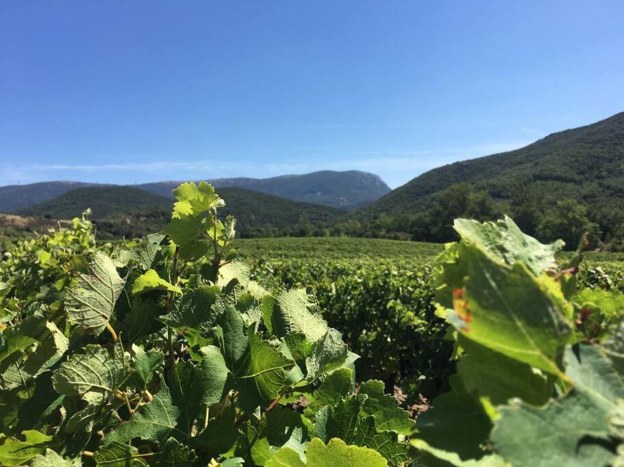 L'Ancienne Raffinerie De Tabac Villa Dernacueillette Luaran gambar