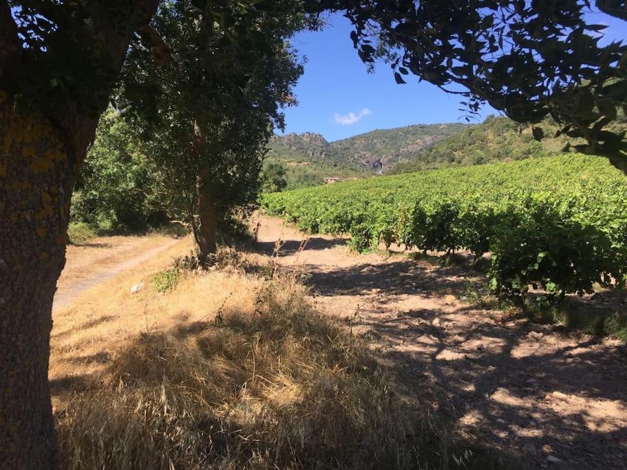 L'Ancienne Raffinerie De Tabac Villa Dernacueillette Luaran gambar