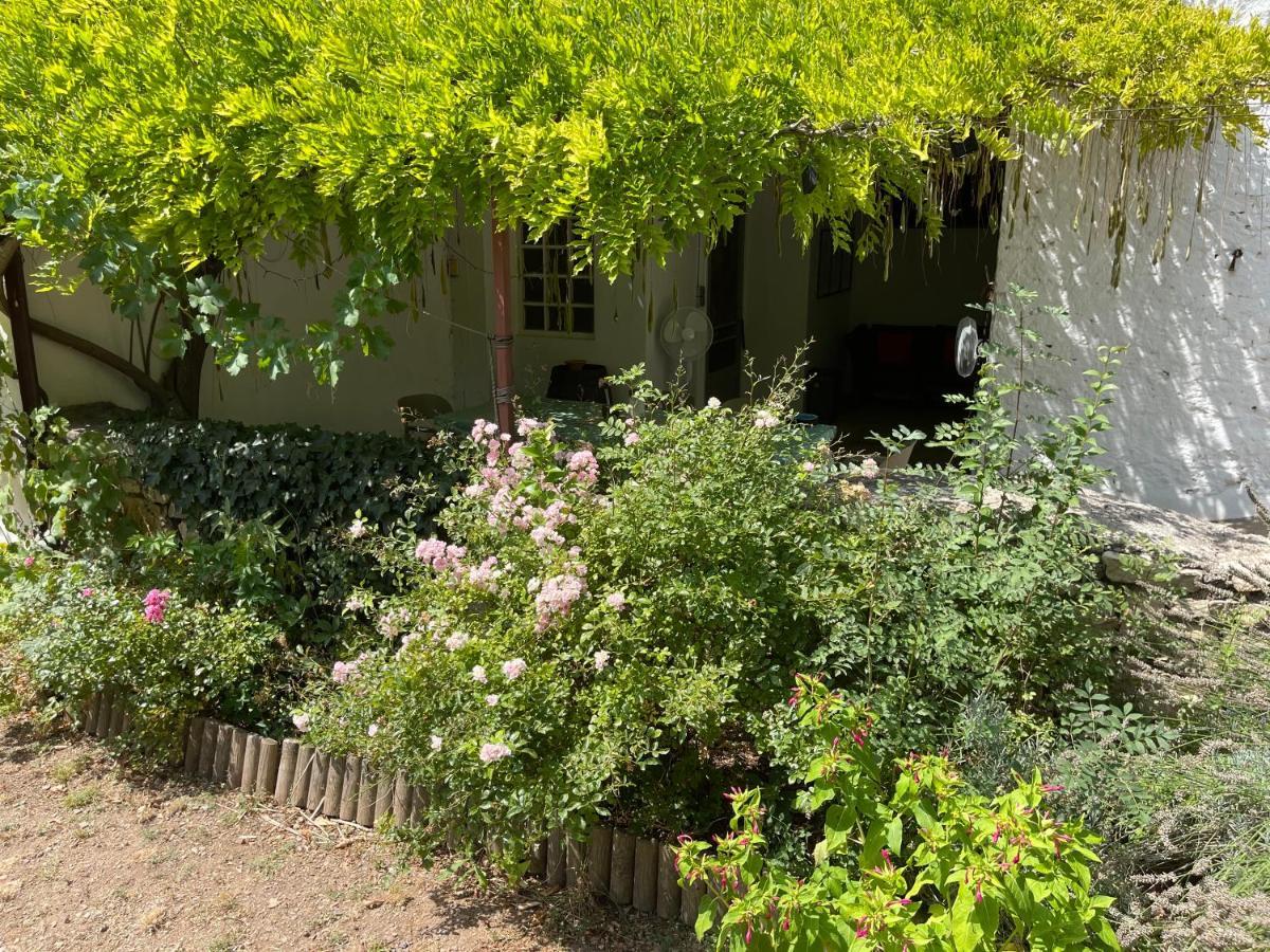 L'Ancienne Raffinerie De Tabac Villa Dernacueillette Luaran gambar