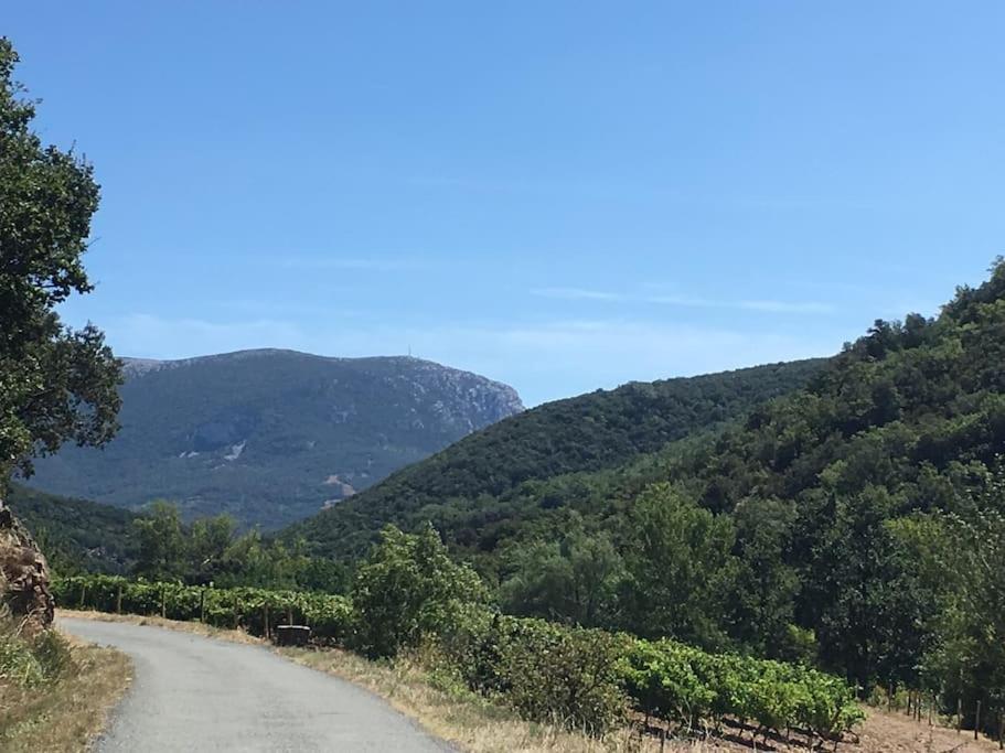 L'Ancienne Raffinerie De Tabac Villa Dernacueillette Luaran gambar